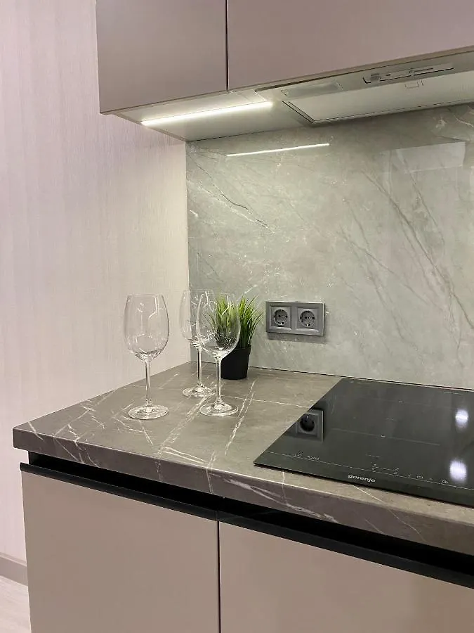 Slavutich Apartments Near Metro Station Kyiv